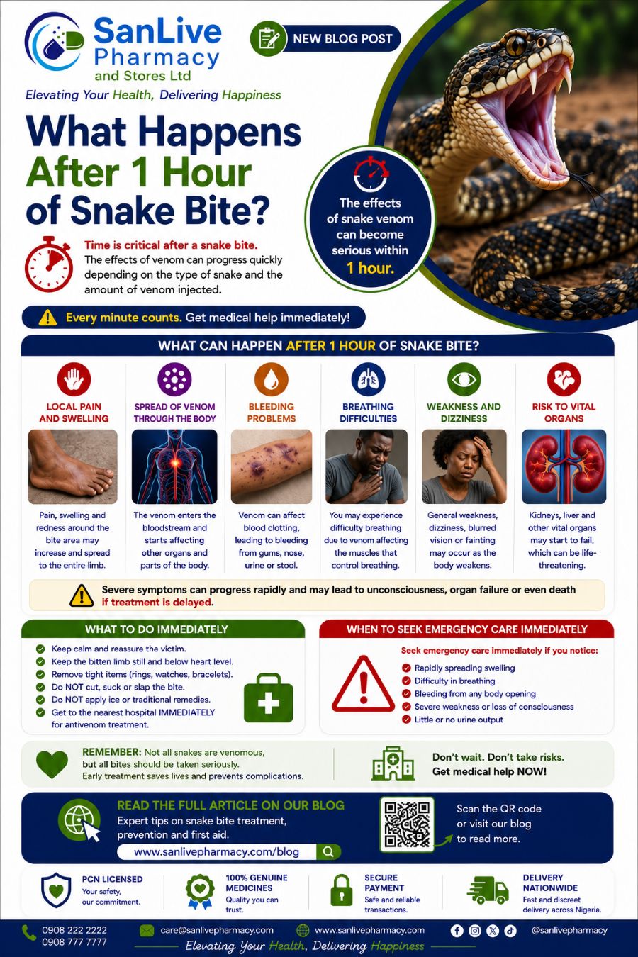 What happens after 1 hour of snake bite?